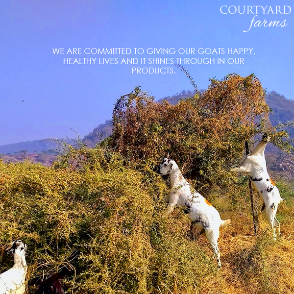 Cover photo of Courtyard Farms-Tilak Nagar Delivery Point